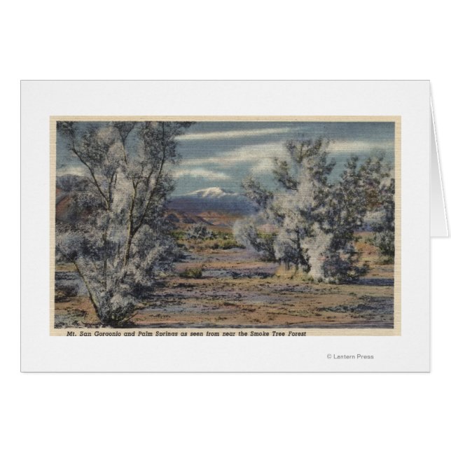 Uitzicht van Mt. San Gorgonio & Palm Springs (Voorkant Horizontaal)