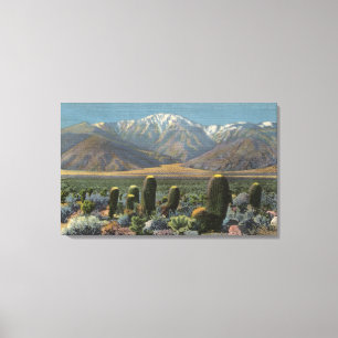 Uitzicht van Mt. San Jacinto Near Palm Springs Canvas Afdruk