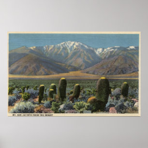 Uitzicht van Mt. San Jacinto Near Palm Springs Poster