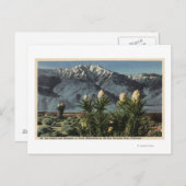 Uitzicht van Mt. San Jacinto, Yucca Mohavensis Briefkaart (Voorkant / Achterkant)