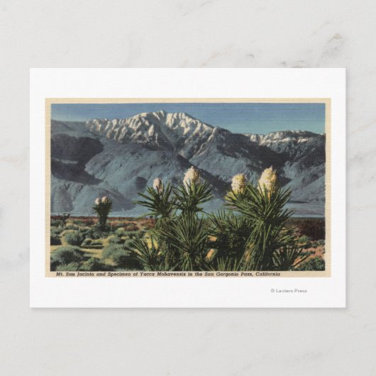 Uitzicht van Mt. San Jacinto, Yucca Mohavensis Briefkaart (Voorkant)