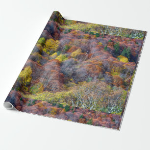 Uitzicht van najaarsboskleurige bomen cadeaupapier