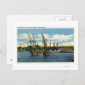 Uitzicht van oude scheepswrakken in de haven briefkaart (Voorkant / Achterkant)