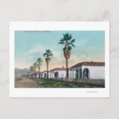 Uitzicht van Palm Row Calistoga, CA Briefkaart (Voorkant)