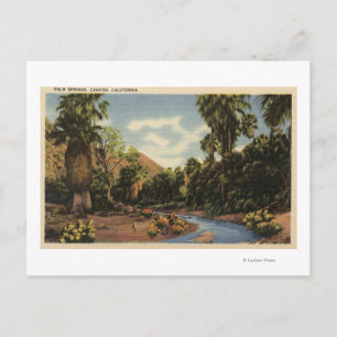 Uitzicht van Palm Springs Canyon Briefkaart
