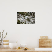 Uitzicht van Port-au-Prince, Haïti Poster (Keuken)