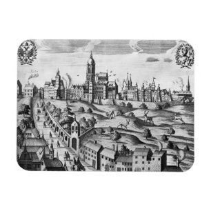 Uitzicht van Praag met het Imperial Palace en het Magneet