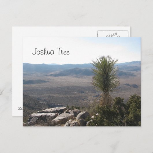 Uitzicht van Ryan Mountain - Joshua Tree Briefkaart (Voorkant / Achterkant)
