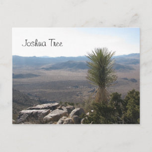 Uitzicht van Ryan Mountain - Joshua Tree Briefkaart
