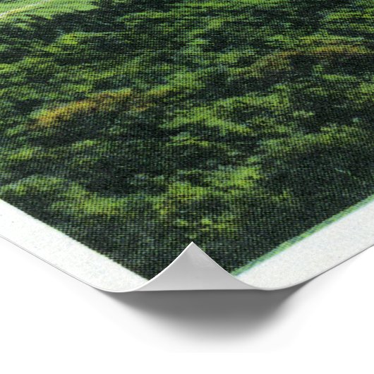 Uitzicht van Saranac Inn Golf Course & Poster (Hoek)