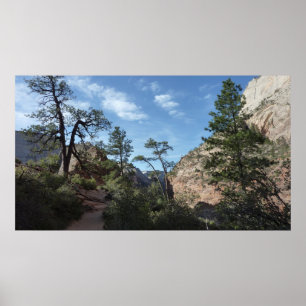 Uitzicht van Scout Lookout in Zion National Park Poster