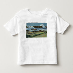 Uitzicht van Seal Rock tussen Waldport en Kinder Shirts