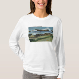 Uitzicht van Seal Rock tussen Waldport en T-shirt