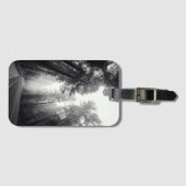 Uitzicht van Sequoia-bomen in de bosbouw Bagagelabel (Voorkant (horizontaal))