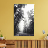 Uitzicht van Sequoia-bomen in de bosbouw Canvas Afdruk (Insitu (Woonkamer))