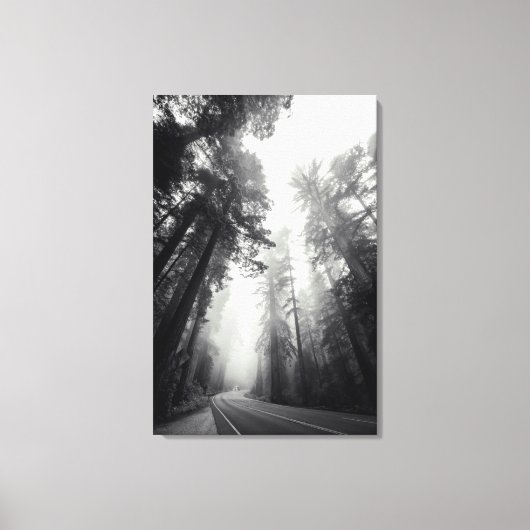 Uitzicht van Sequoia-bomen in de bosbouw Canvas Afdruk (Voorkant)