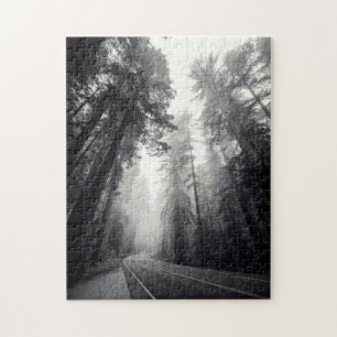 Uitzicht van Sequoia-bomen in de bosbouw Legpuzzel