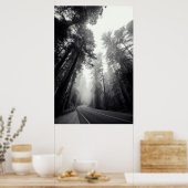 Uitzicht van Sequoia-bomen in de bosbouw Poster (Keuken)