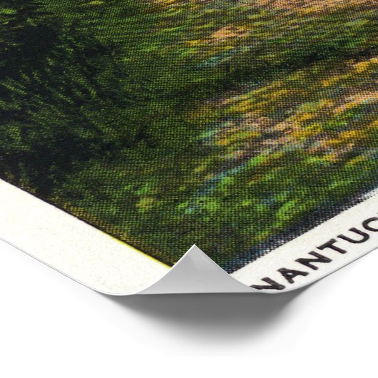 Uitzicht van Stone Alley van South Tower and Town Poster (Hoek)