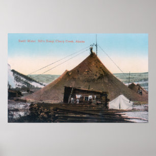Uitzicht van Swift Water Bill's Dump Poster