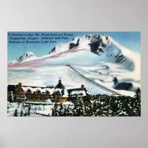 Uitzicht van Timberline Lodge, Mt Hood in de winte Poster