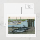 Uitzicht van twee zwaardvissen briefkaart (Voorkant / Achterkant)