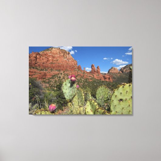 Uitzicht van Twin Buttes | Sedona, Arizona Canvas Afdruk (Voorkant)