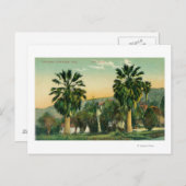 Uitzicht van Twin PalmsParaiso Springs, CA Briefkaart (Voorkant / Achterkant)