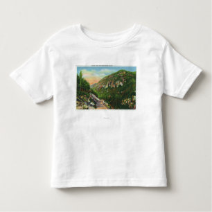 Uitzicht van viskreeften, Saranac Inn Kinder Shirts