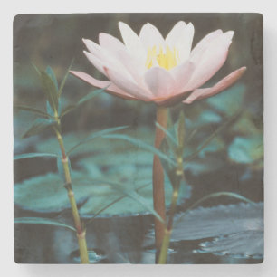 Uitzicht van waterLily bij het Inle Lake Stenen Onderzetter