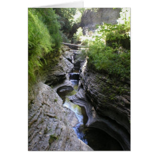 Uitzicht van Watkin's Glen