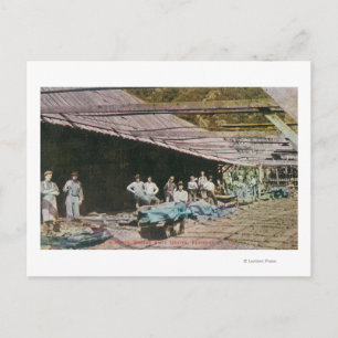 Uitzicht van werknemers van de Eureka Slate Quarry Briefkaart