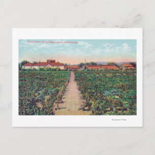 Uitzicht van wijngaarden en wijnkelders briefkaart