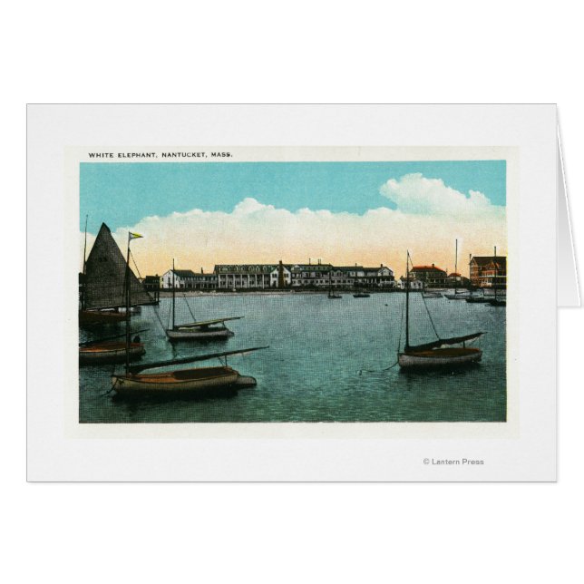 Uitzicht van witte olifant (Voorkant Horizontaal)