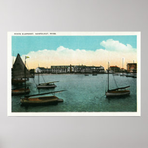 Uitzicht van witte olifant poster