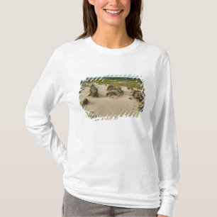 Uitzicht vanaf een zandige heuveltop van meren en t-shirt
