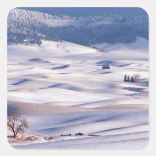 Uitzicht vanaf Steptoe Butte op glooiende heuvels Vierkante Sticker