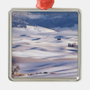 Uitzicht vanaf Steptoe Butte over glooiende heuvel Metalen Ornament