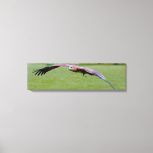 Uitzicht voor vogelogen boven panoramisch canvas afdruk