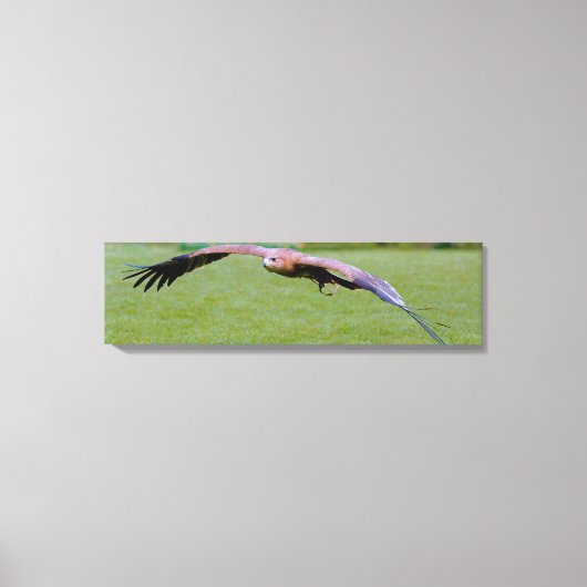 Uitzicht voor vogelogen boven panoramisch canvas afdruk (Voorkant)