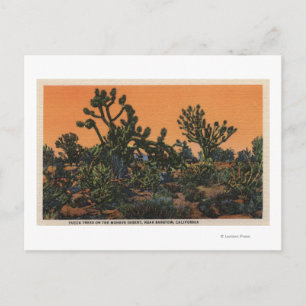 Uitzicht Yucca Trees in de Mohave-woestijn Briefkaart