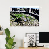 Uitzichten aan de zeezijde - groeten uit het zee poster (Thuiskantoor)