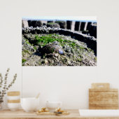 Uitzichten aan de zeezijde - groeten uit het zee poster (Keuken)