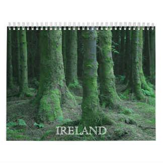 Uitzichten van de Ierse kalender