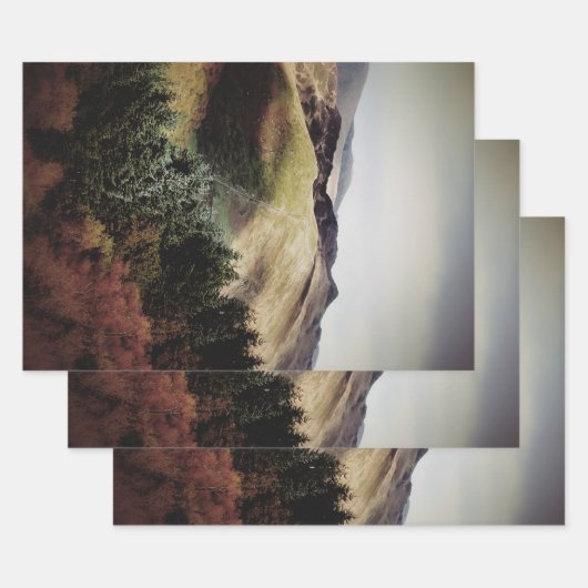 UITZICHTEN VAN DE WALEN INPAKPAPIER VEL (Set)