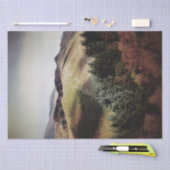 UITZICHTEN VAN DE WALEN TISSUEPAPIER (Craft)