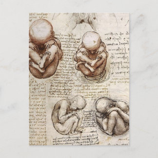 Uitzichten van een foetus in Womb.jpg door Leonard Briefkaart