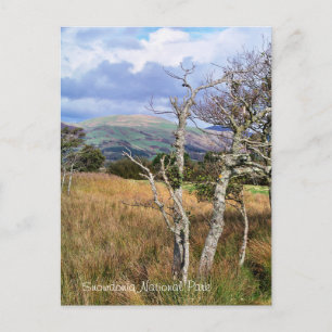 UITZICHTEN VAN WALES BRIEFKAART