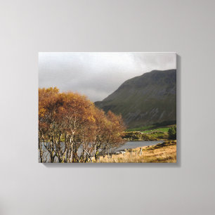 UITZICHTEN VAN WALES CANVAS AFDRUK