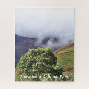 UITZICHTEN VAN WALES LEGPUZZEL